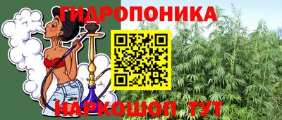 дмт Дубна