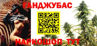 шишки Гусь-Хрустальный