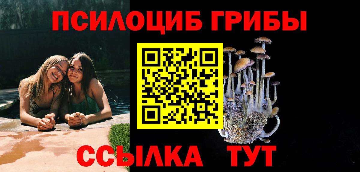 даркнет сайт  Псилоцибиновые грибы мицелий  Вход с VPN  Псилоцибиновые грибы мицелий  Краснокаменск 
