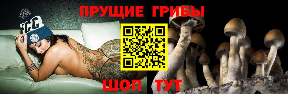 Псилоцибиновые грибы мицелий Краснокаменск